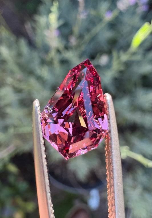 Umbalite (Rhodolite) Garnet   3.74 ct  Shield Cut  12.5 x 8.5 x 5.5
