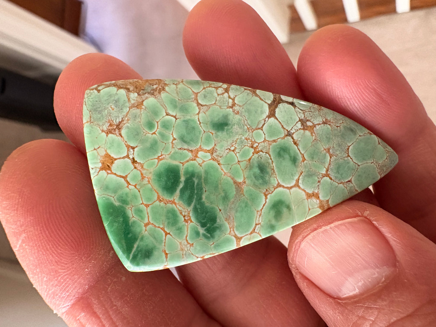 Australian Variscite   77.22 ct  Shield Cab  54.1 x 32.0 x 5.5 mm