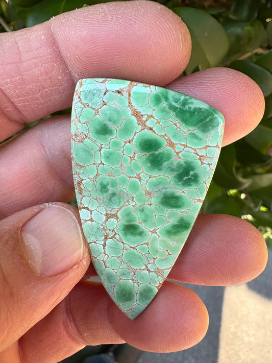 Australian Variscite   77.22 ct  Shield Cab  54.1 x 32.0 x 5.5 mm